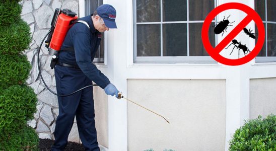 Yenipazar Akrep İlaçlama böcek ilaçlama ve haşere kontrolü — ilaclama-tr.com